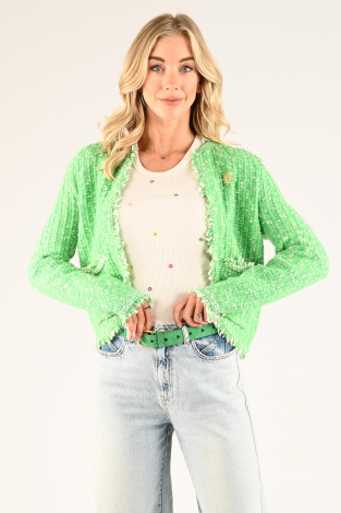 Fabienne Chapot Joshua  Cardigan Groen